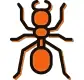 Coastal brown ants
